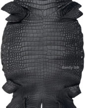 натуральная кожа крокодила