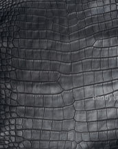 кожа крокодила